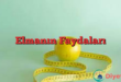 Elmanın Faydaları