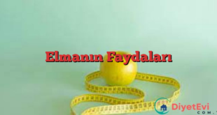 Elmanın Faydaları