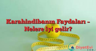 Karahindibanın Faydaları – Nelere iyi gelir?