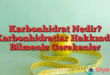Karbonhidrat Nedir? Karbonhidratlar Hakkında Bilmeniz Gerekenler